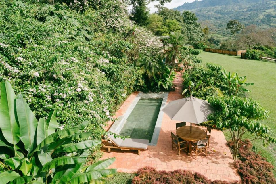 Spring, Natural landscape, Garden view, Mountain view