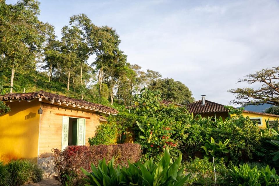 Spring, Natural landscape, Garden, Garden view, Inner courtyard view