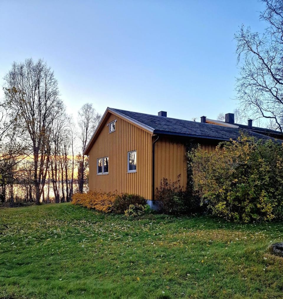 Property building, Day, Natural landscape, Garden, Garden, Autumn, Garden view