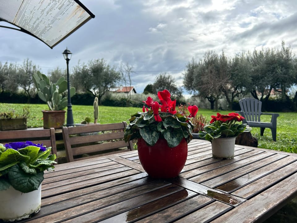Casa Holly Apartment in Lazio