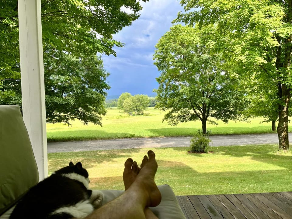 View (from property/room)