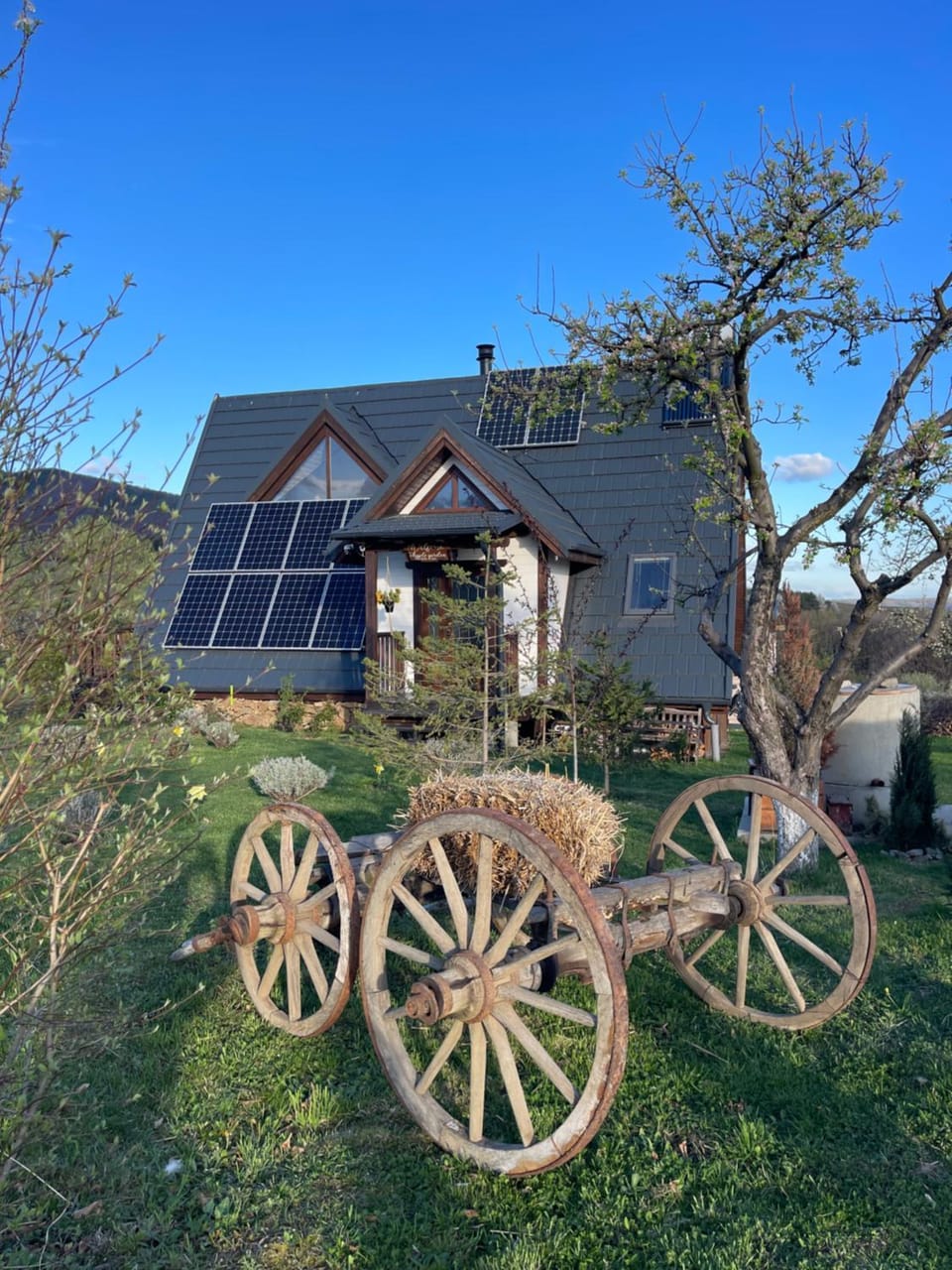 Cabana Apple Garden Rășinari House in Romania