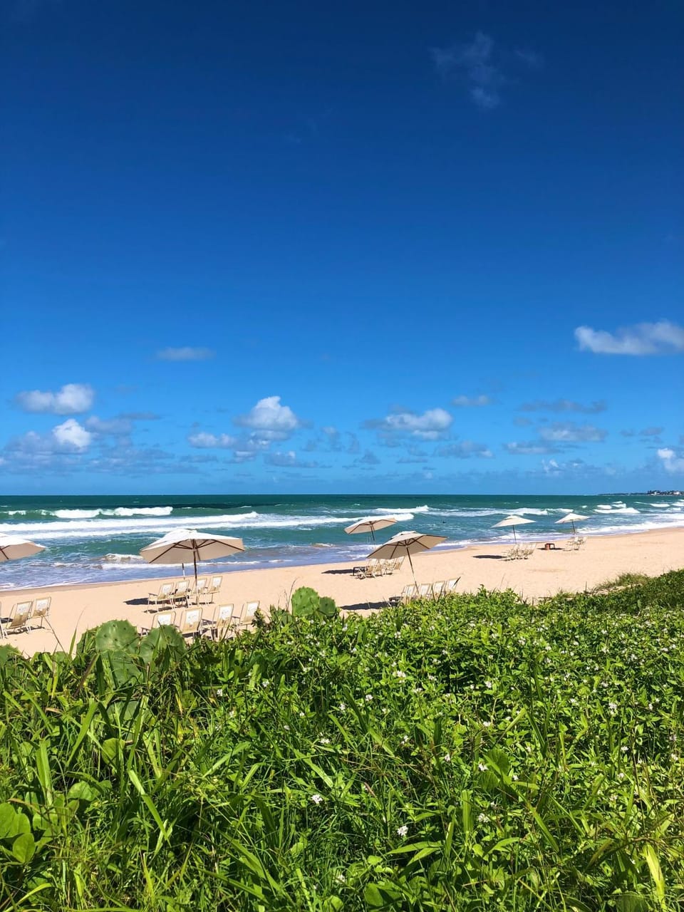 Flat Cupe beach living Apartment in Ipojuca