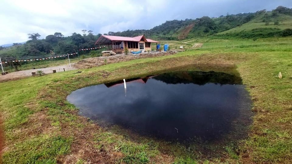 Natural landscape, Lake view