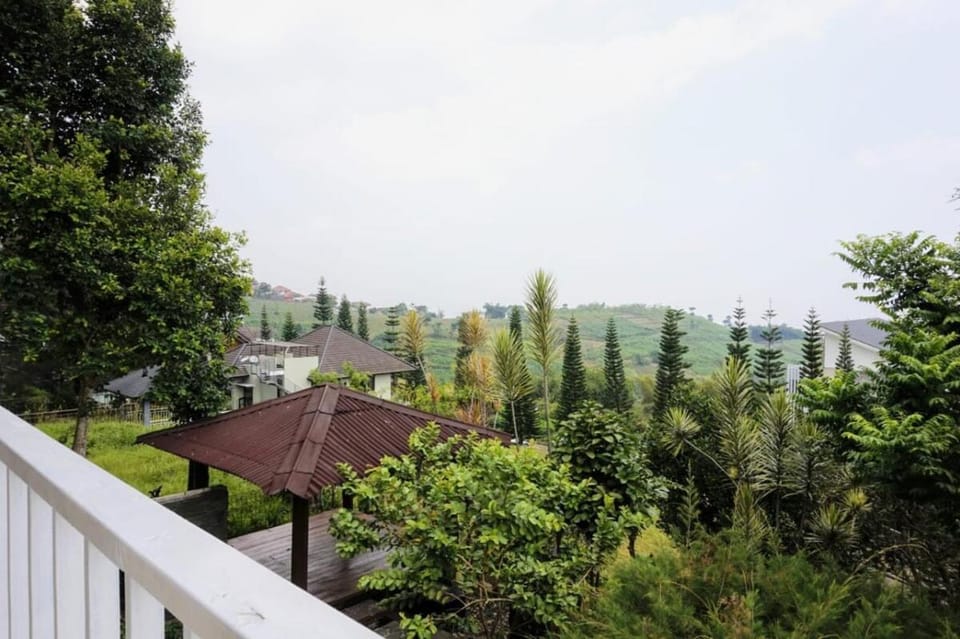Natural landscape, Garden view