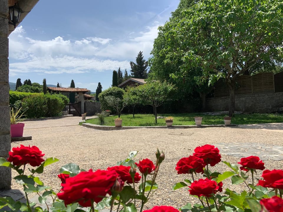 Spring, Garden