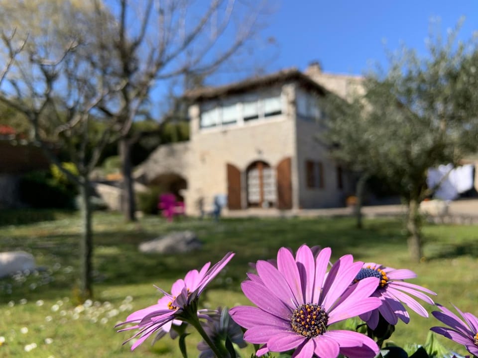 Property building, Spring, Garden