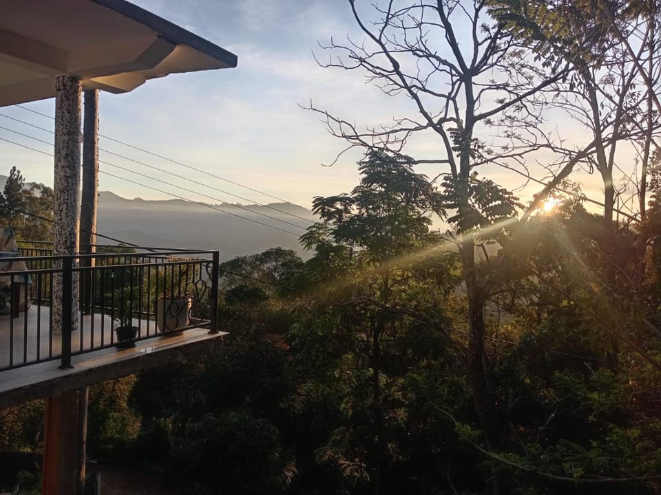 View (from property/room)