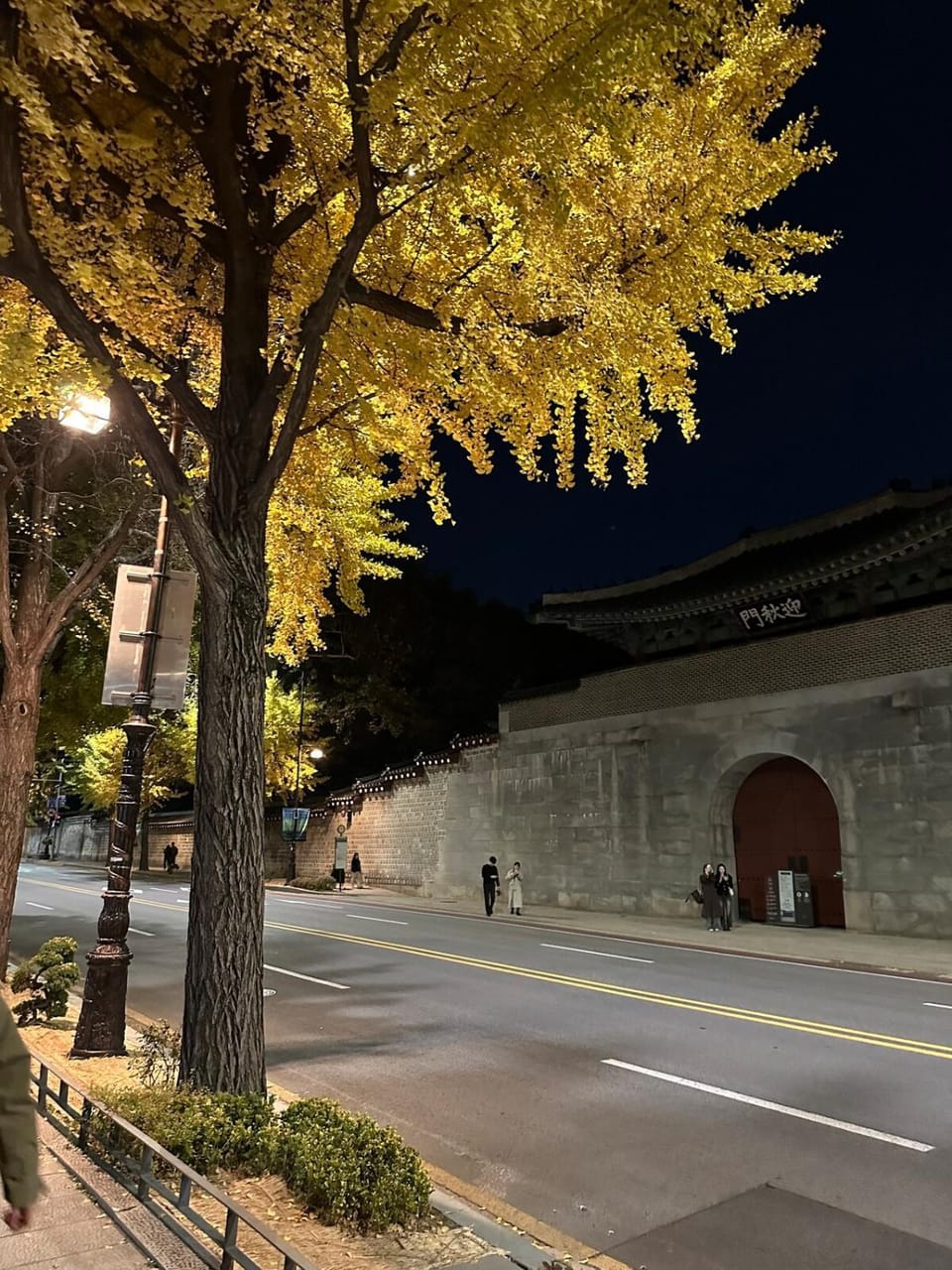Calming Place Seoul #3 Apartment in Seoul