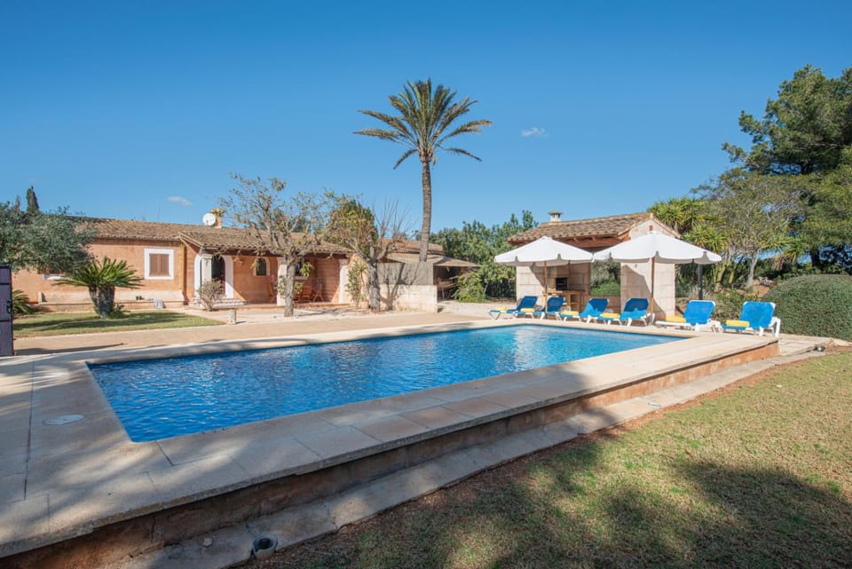 Swimming pool, sunbed