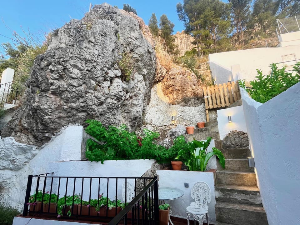 Patio, Garden, Garden view