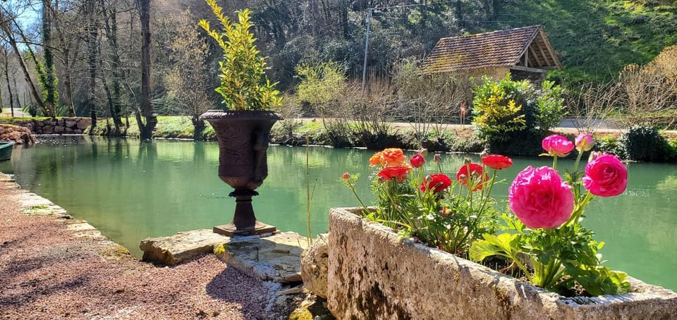 Lake view