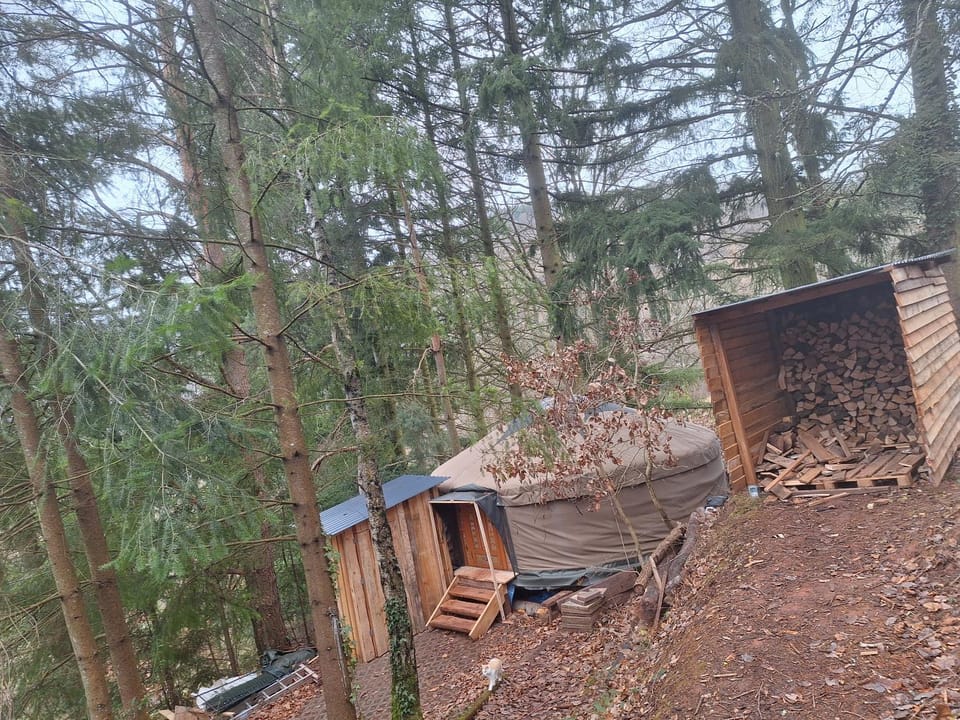 Jurte für naturliebhaber Luxury tent in Rhineland-Palatinate