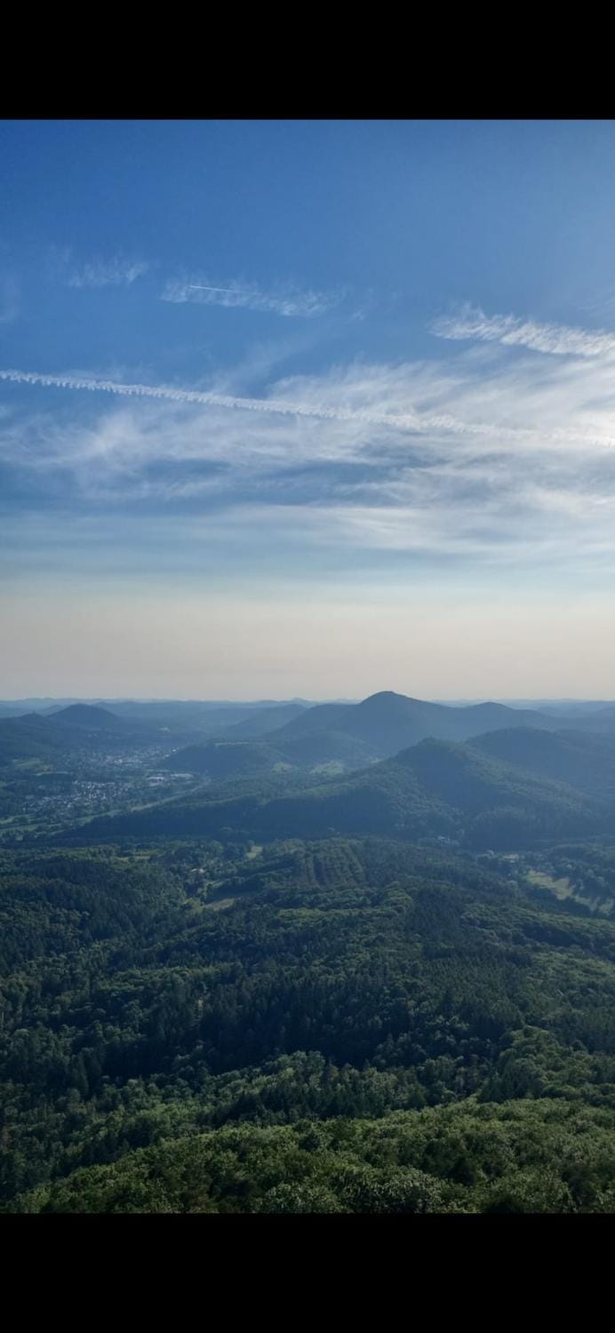 Jurte für naturliebhaber Luxury tent in Rhineland-Palatinate