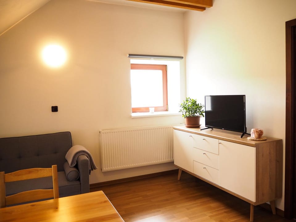 Chalupa na dobrém místě Apartment in Czechia