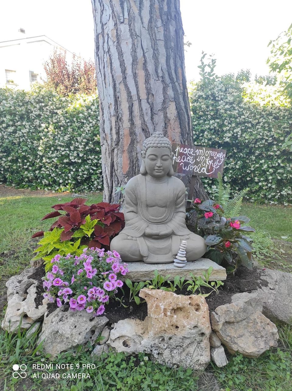 Garden view