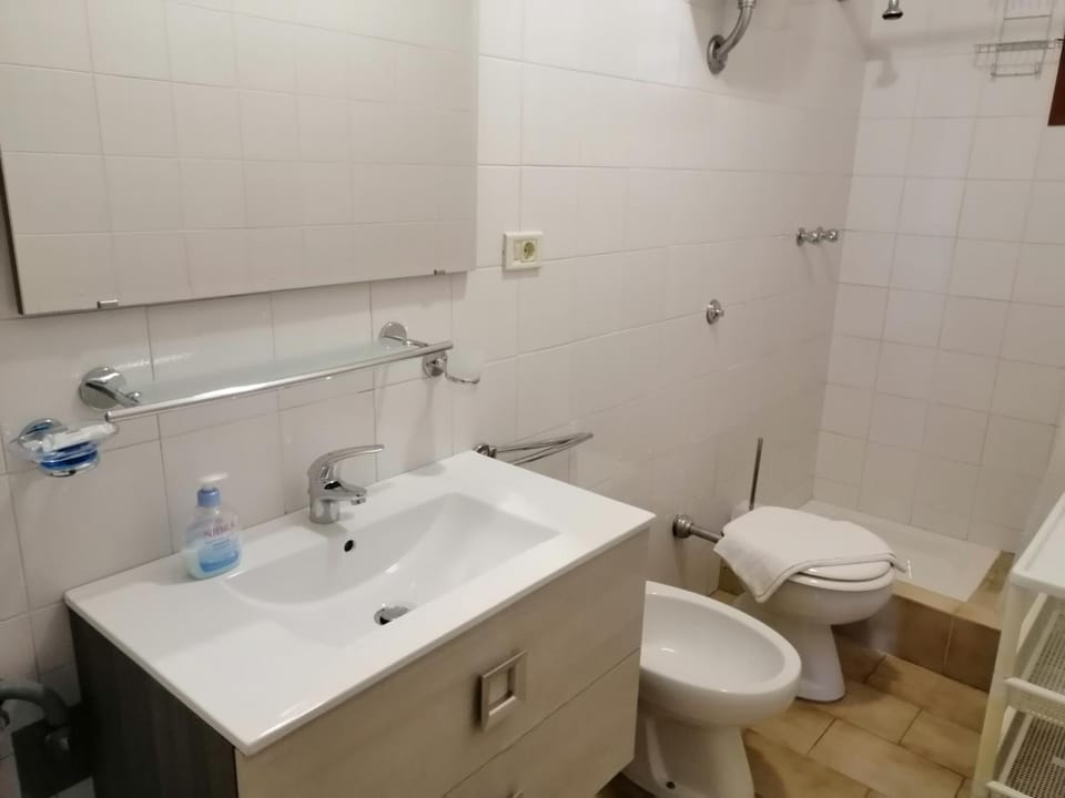 Shower, Toilet, Bathroom, bidet