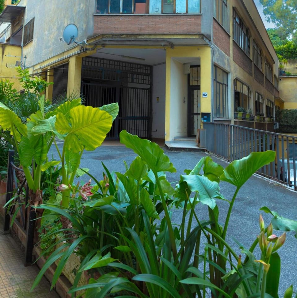 Property building, Day