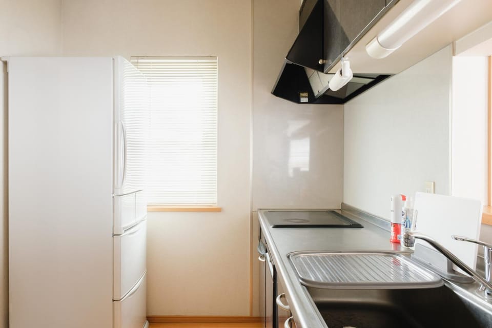 Kitchen or kitchenette, dishwasher, stove