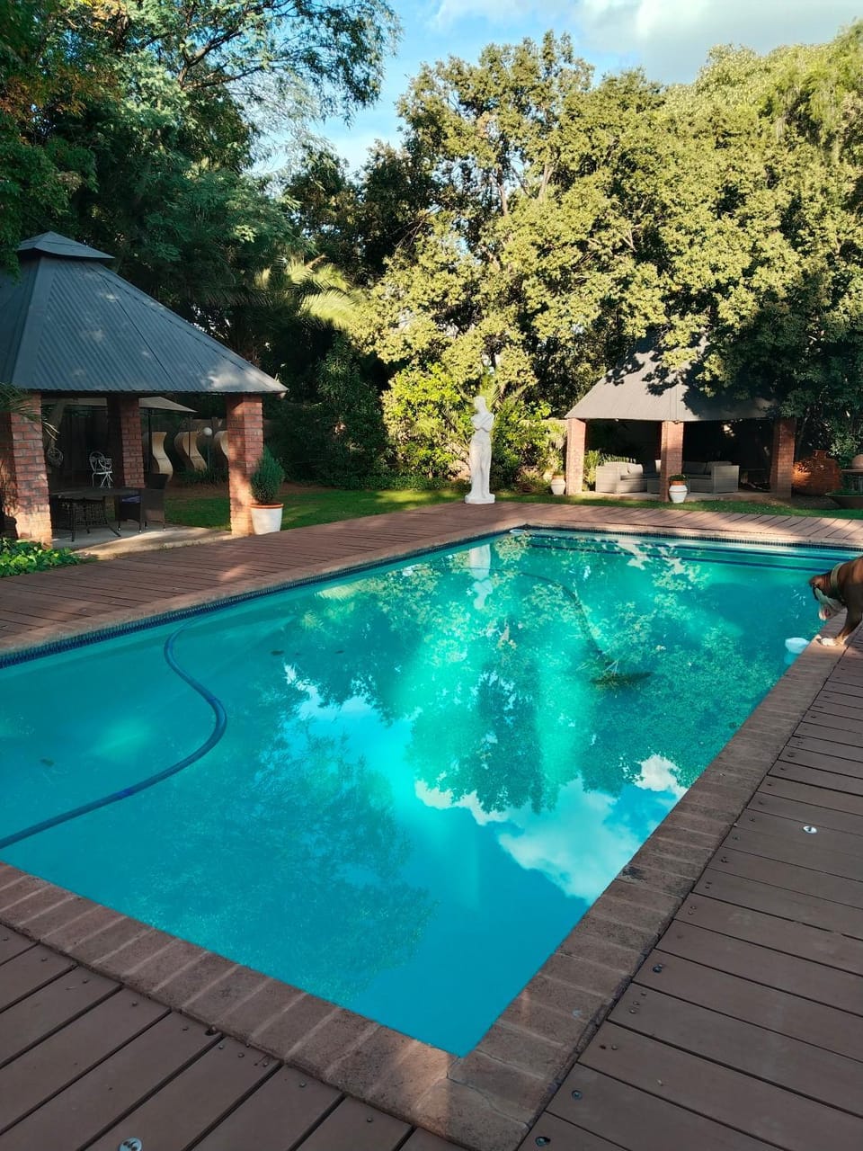 Day, Pool view, Swimming pool