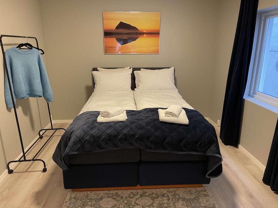 Downtown apartment high standard Apartment in Lofoten