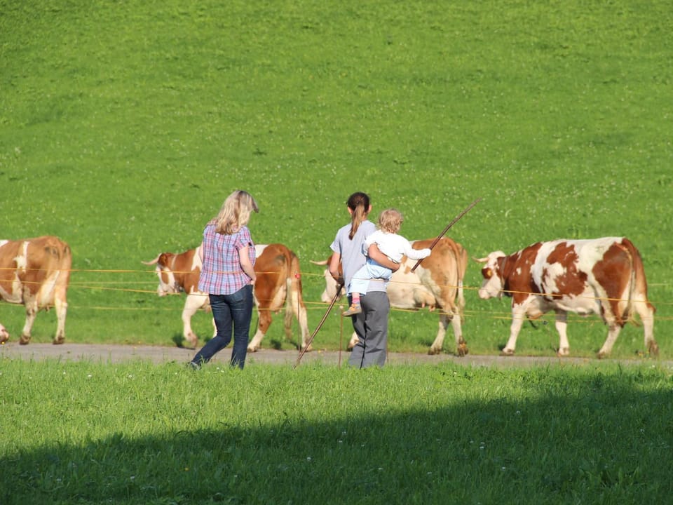 Animals