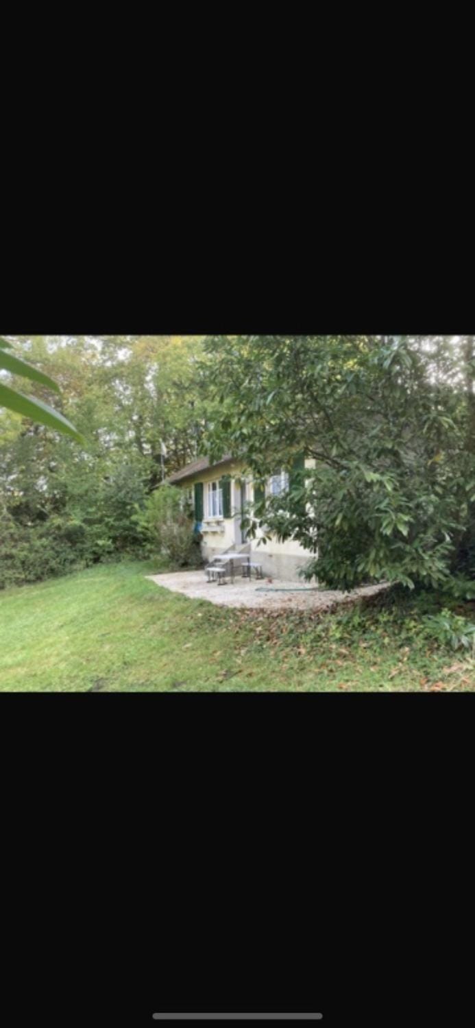 Maison charmante bordée de bambous House in Île-de-France