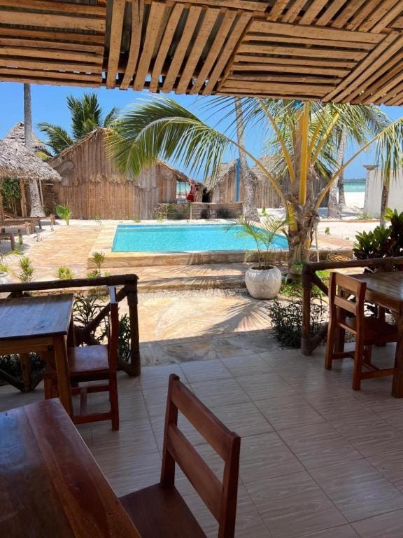 Day, Pool view, Swimming pool, sunbed