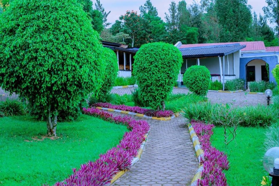 Property building, Garden, Quiet street view