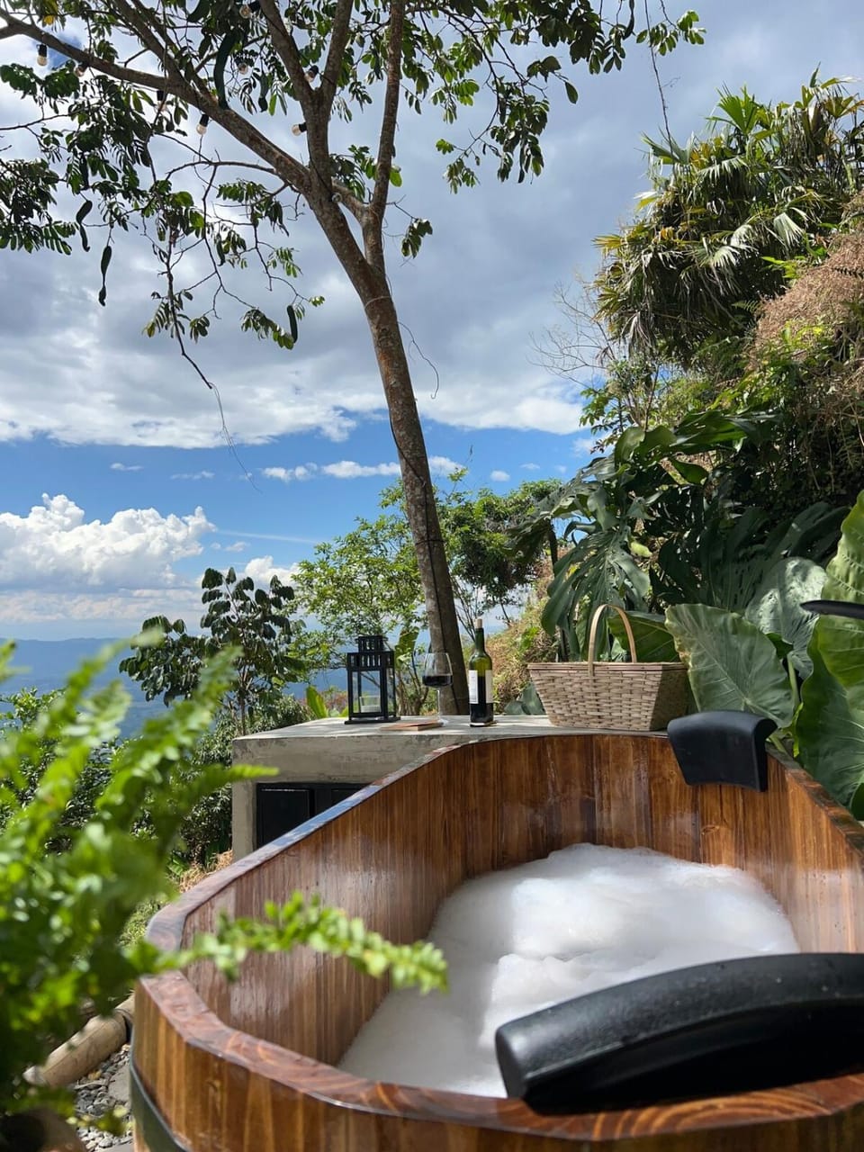 Spring, Day, Natural landscape, Garden, Hot Tub, View (from property/room), Garden view, Open Air Bath