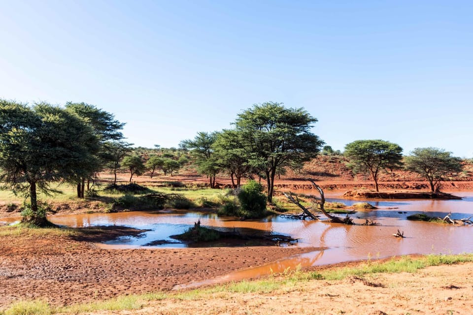 Natural landscape