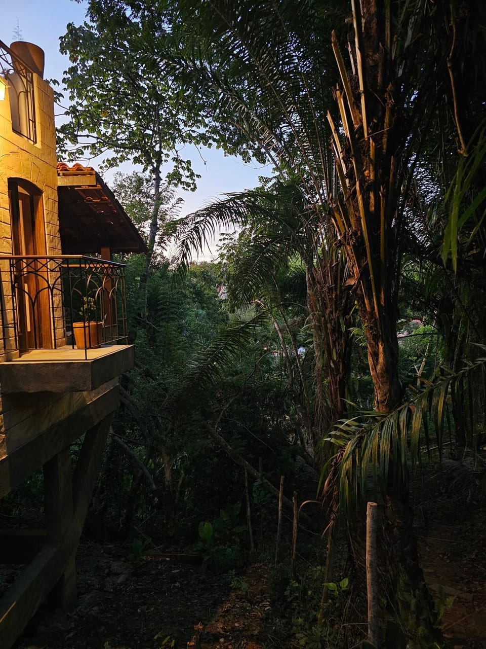 Garden view