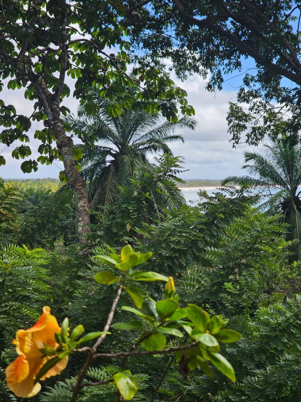 Casa de Lux Villa in State of Bahia