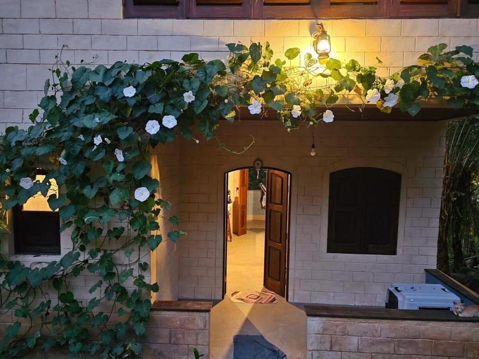 Night, Garden, Garden view