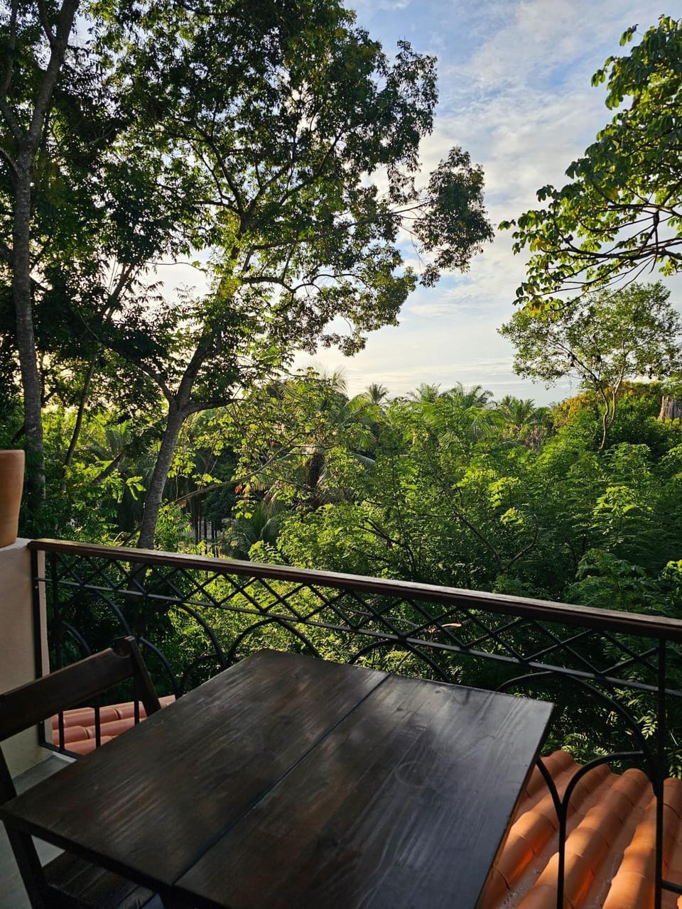 View (from property/room), Balcony/Terrace
