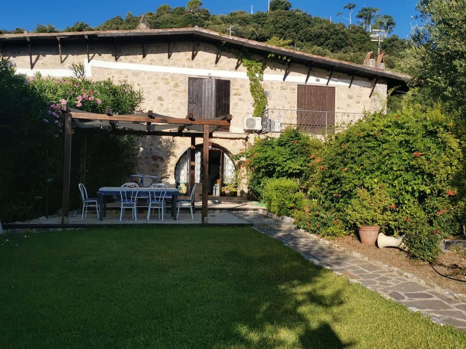Property building, Garden, Garden, Garden view