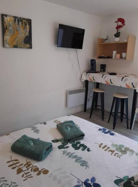 Charmant studio balcon idéalement placé Apartment in Nimes