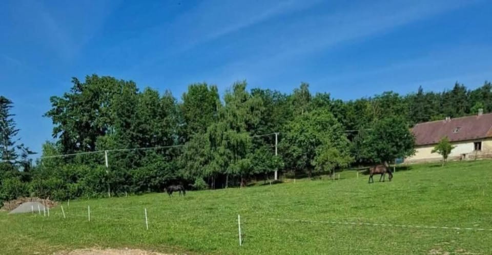 Obytný vagón Bzová Běleč Luxury tent in Czechia