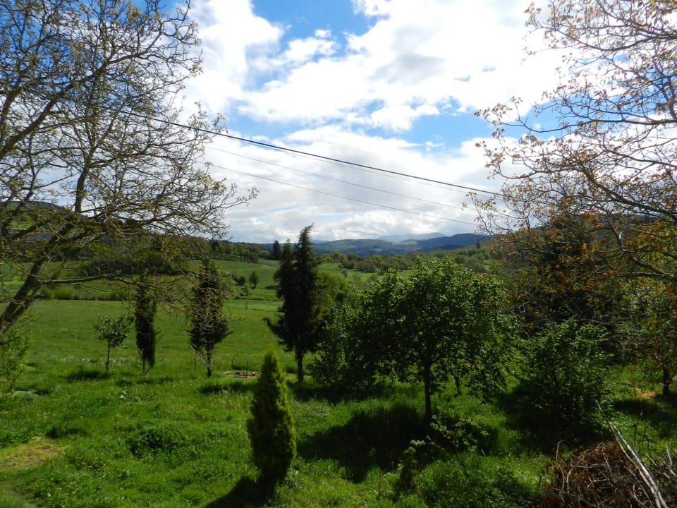 Natural landscape