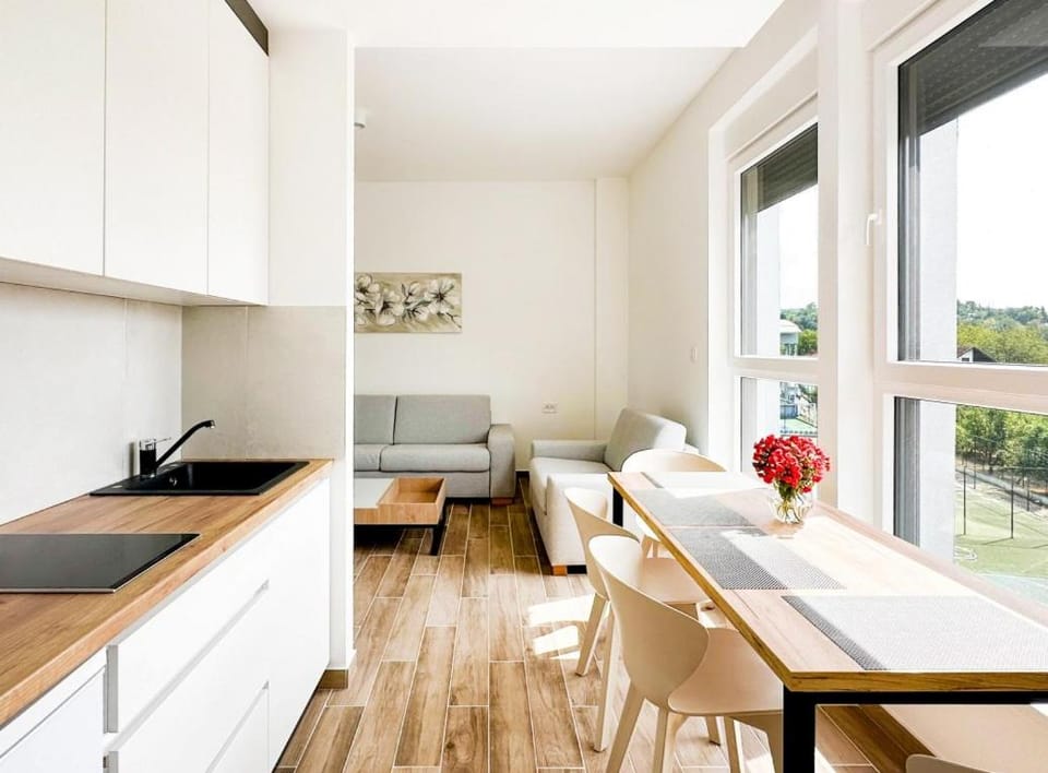 Kitchen or kitchenette, Living room, Seating area, Dining area