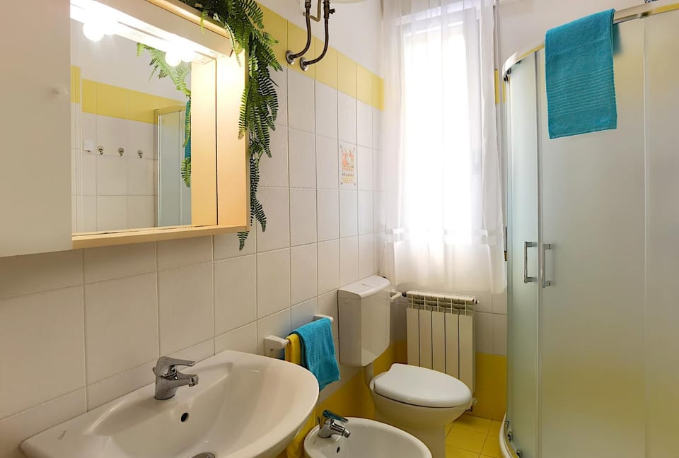Shower, Toilet, Bathroom, bidet
