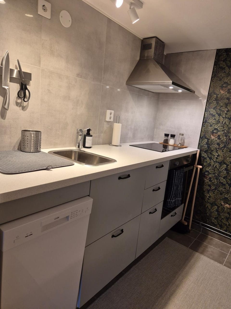 Kitchen or kitchenette, dishwasher, stove