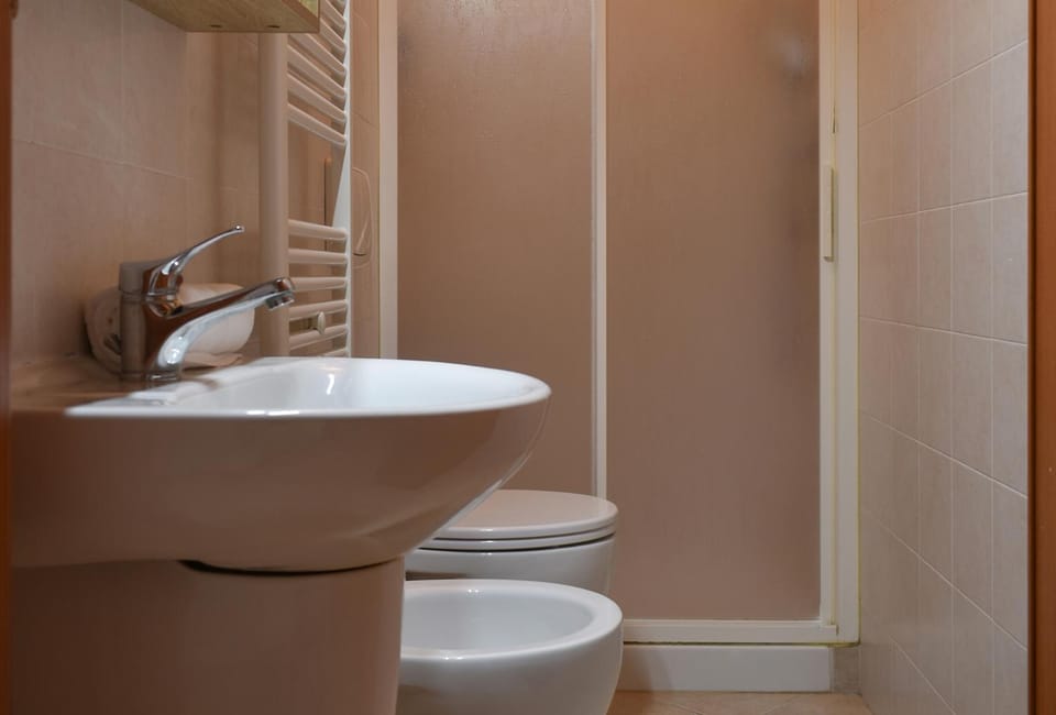 Shower, Toilet, Bathroom, bidet
