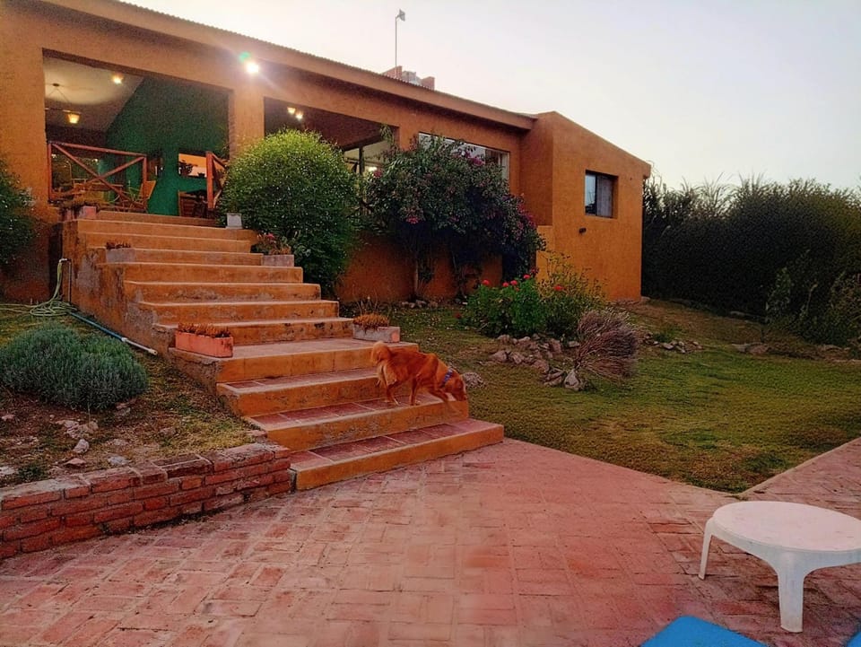 Property building, Garden, Garden view