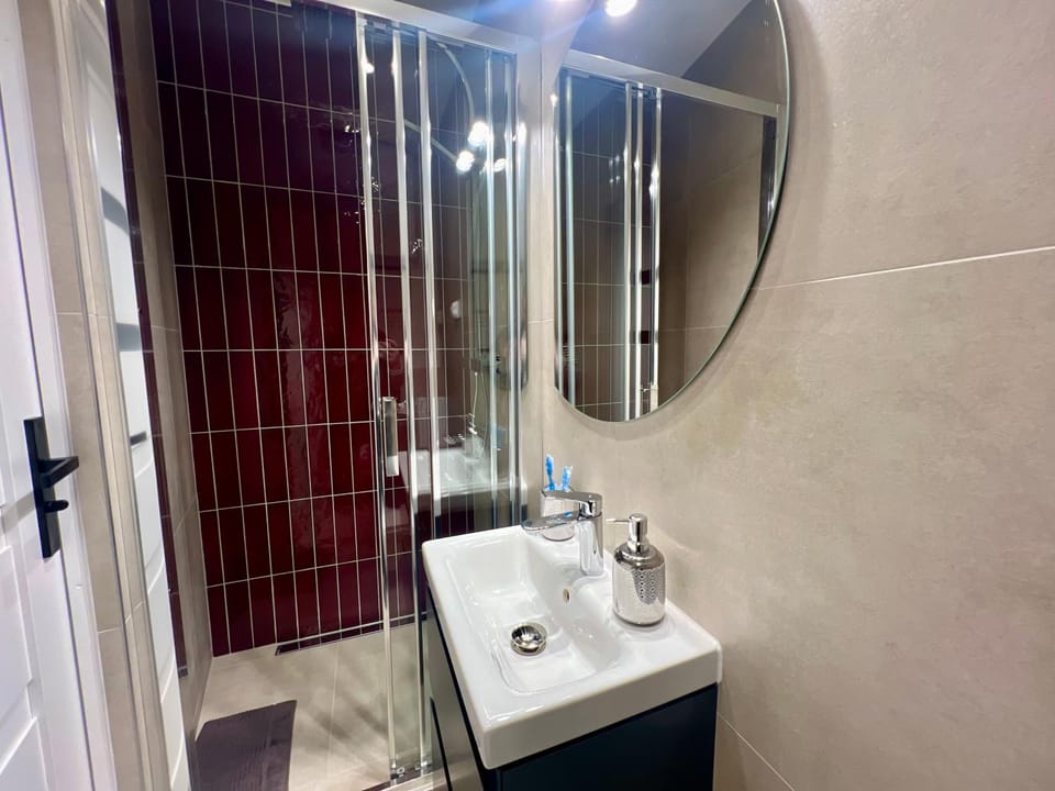Apartament Czerwone Wino 100m od Szczawno-Zdrój Apartment in Lower Silesian Voivodeship