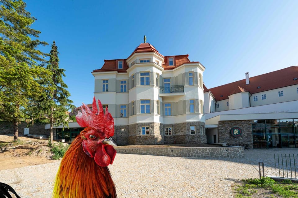 OldCock Castle Hotel in South Moravian Region