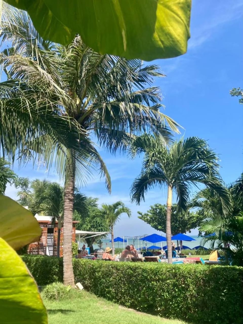 Swimming pool, Breakfast