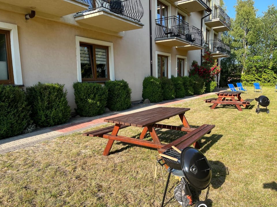 Property building, Garden, sunbed