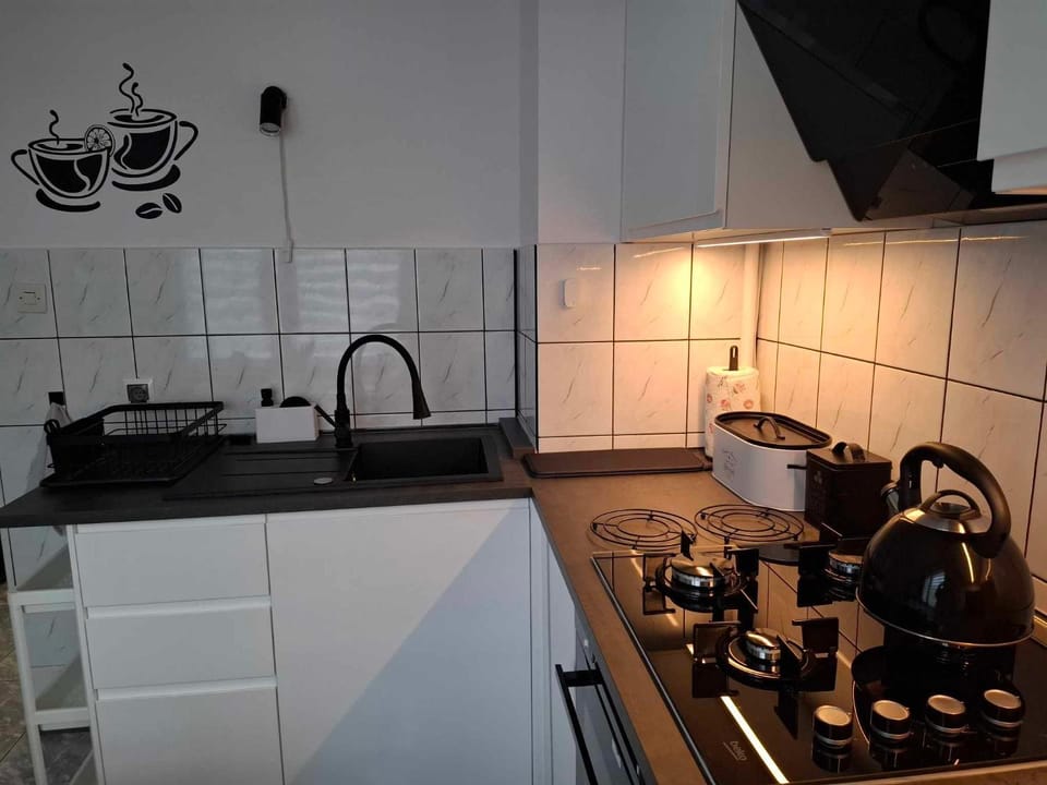 Apartament 50 m z balkonem na parterze Apartment in Greater Poland Voivodeship