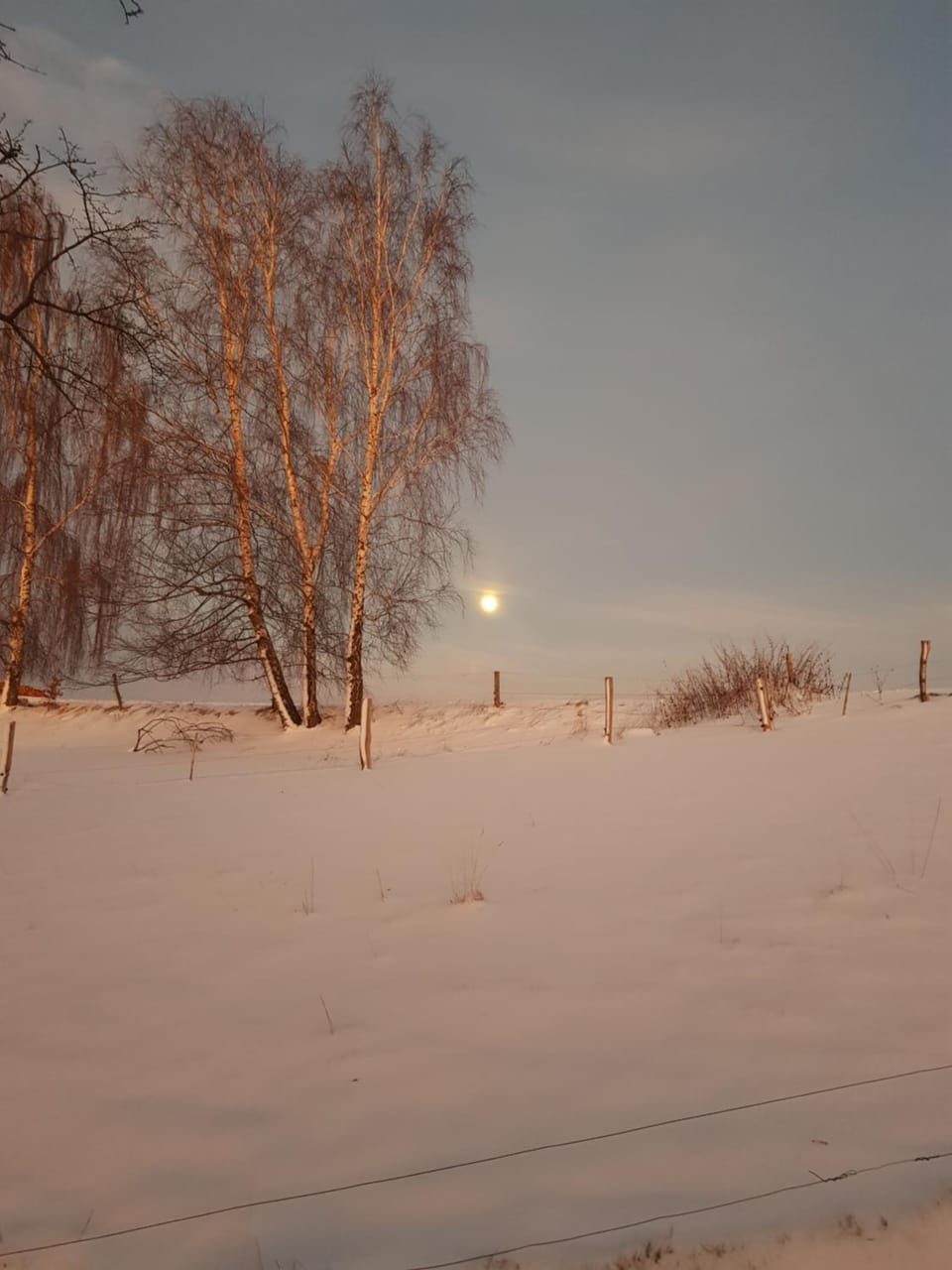 Natural landscape, Winter